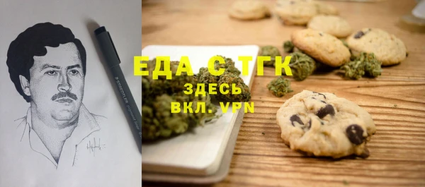 твердый Заводоуковск