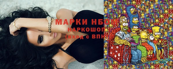 твердый Заводоуковск