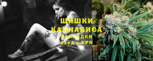 твердый Заводоуковск